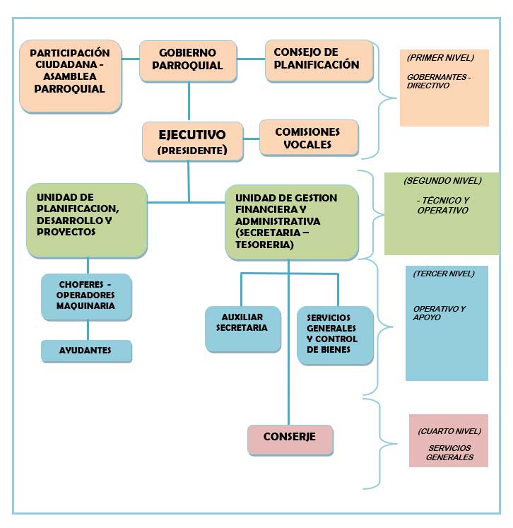  ORGÁNICO ESTRUCTURAL FUNCIONAL