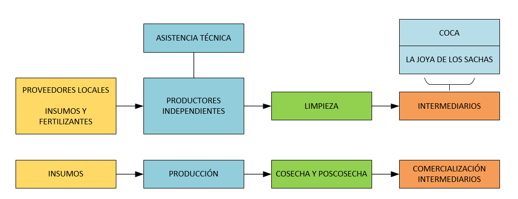 Cacao