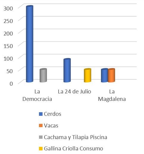 Porcentajes2