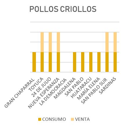 Pollos Criollos