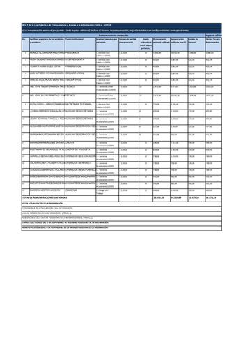 Literal c Remuneracion mensual por puesto