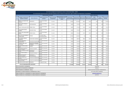 Literal c Remuneracion mensual por puesto